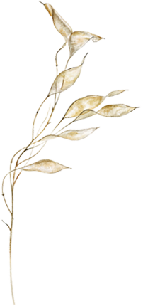the-one-detail-12